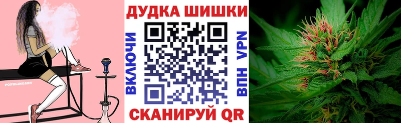 mega рабочий сайт  Покров  Бошки марихуана OG Kush 